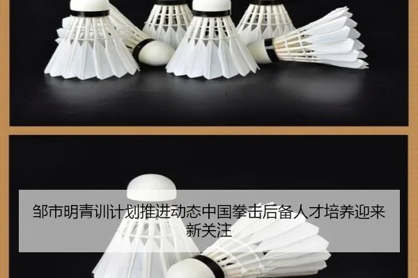 邹市明青训计划推进动态中国拳击后备人才培养迎来新关注